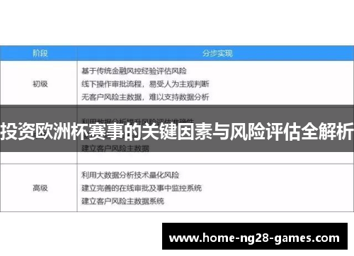 投资欧洲杯赛事的关键因素与风险评估全解析