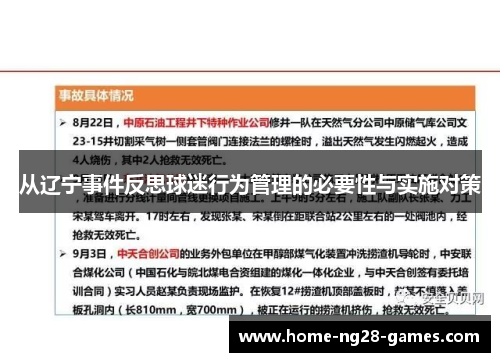 从辽宁事件反思球迷行为管理的必要性与实施对策