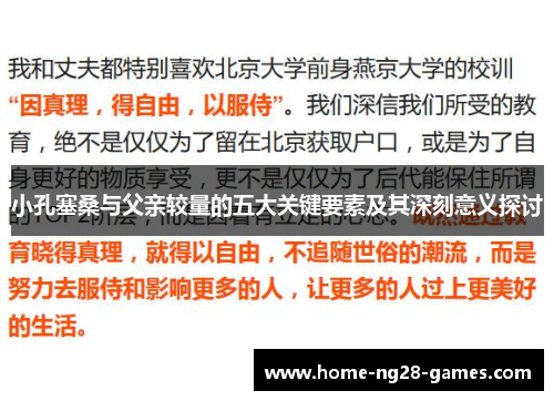 小孔塞桑与父亲较量的五大关键要素及其深刻意义探讨