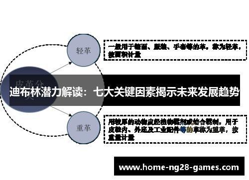 迪布林潜力解读：七大关键因素揭示未来发展趋势